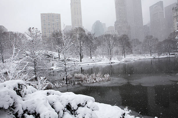 istock Winter in New York 180213135
