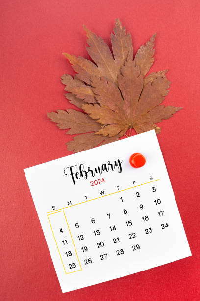 istock February 2024 calendar page and autumn maple leaf with thumbtack. 1802152156