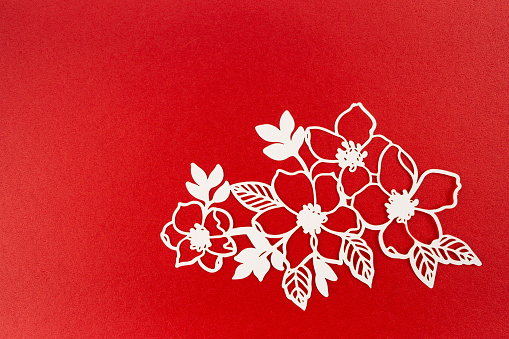 Carve of white paper flower and leaves with copy space on a red cardboard background.
