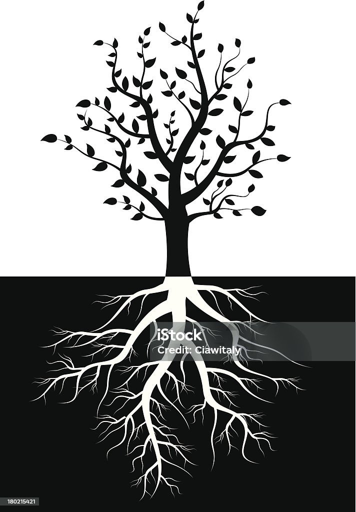 나무 실루엣 roots - 로열티 프리 나무 벡터 아트
