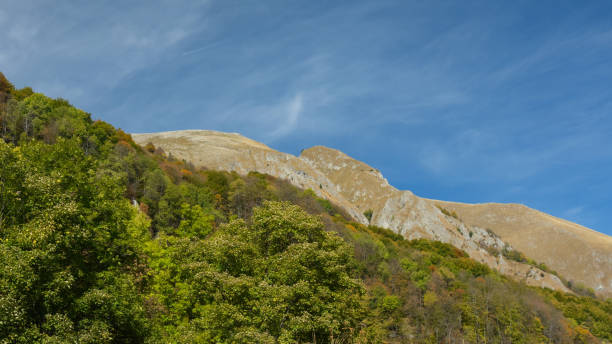 istock Autumn in Buila Massif 1802169448