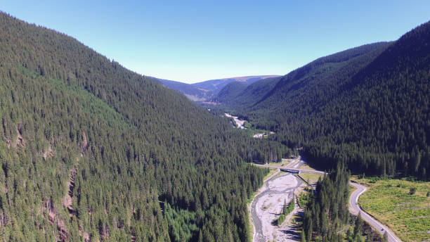 istock Lotru river - Aerial View 1802184639