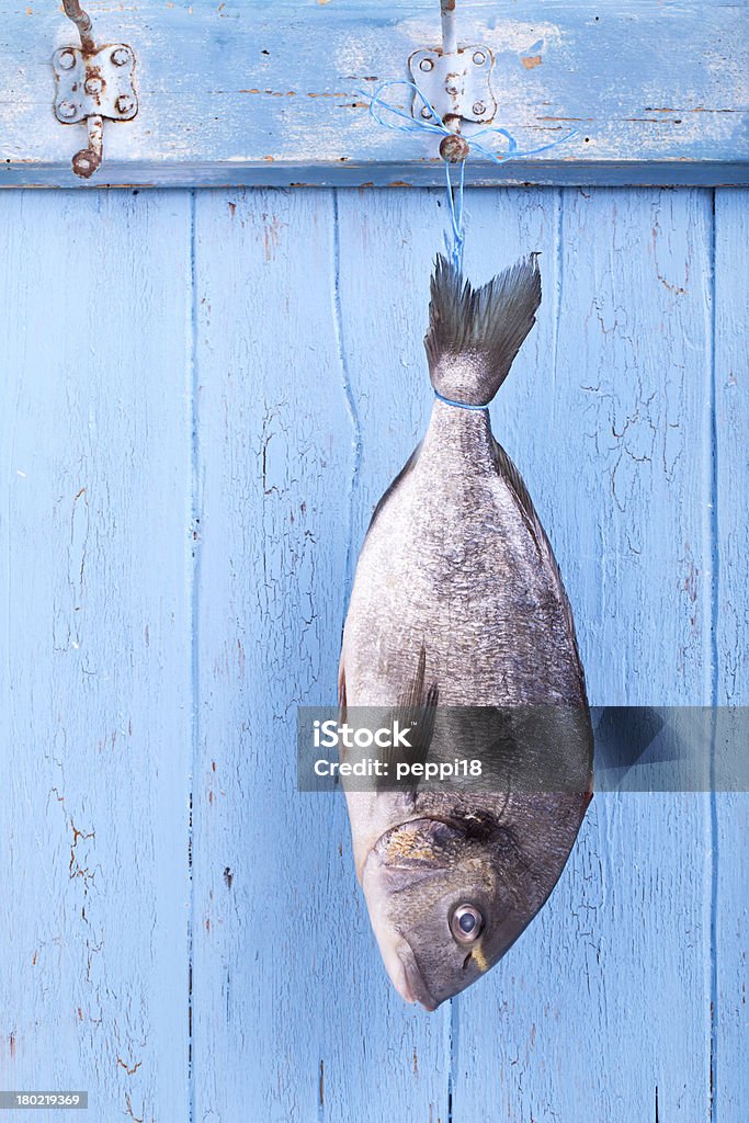 catch the fish Fresh sea bream is hanging headlong on a hook on a blue wooden board, fresh fished, Fish Market Stock Photo