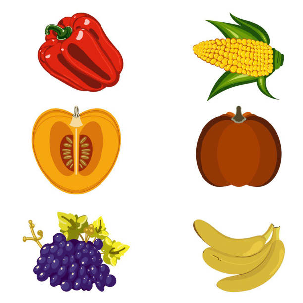 ilustrações de stock, clip art, desenhos animados e ícones de harvest pepper pumpkin grapes banana corn cob on kwanzaa illustration on a white background hand drawn - corn on the cob corn corn crop white background