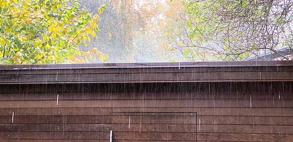 Intense rain beating down on a flat-roofed cedar wood shed in the backyard.