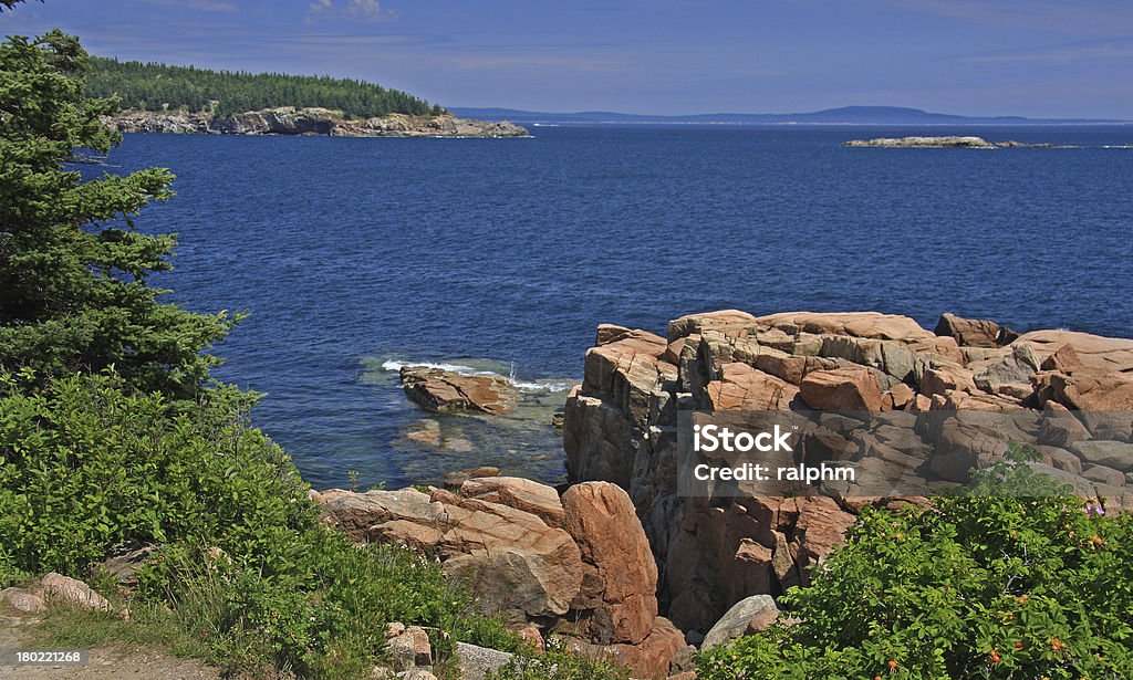 Senic Overlook -Acadia National Park, Maine A scenic overlook of the rocky coast and blue water framed by pine trees and wild bayberry. Acadia National Park Stock Photo