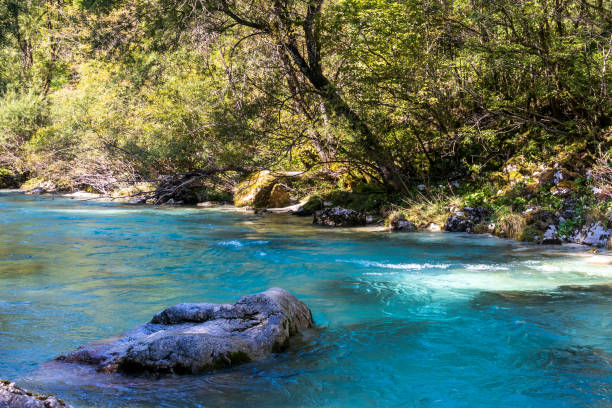 istock Soca river gorge in Slovenian alps. 1802233404