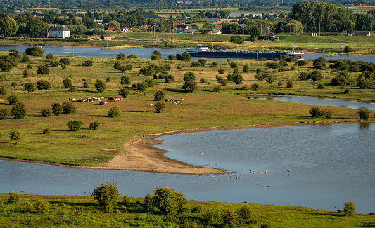Blauwe Kamer nature reserve and river Nederrijn seen from the observation deck