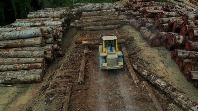 Drone footage of a wheel loader organizing logs in a timber storage yard