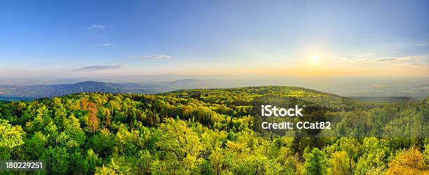 Spring Landscape With Fresh Green Forest Stock Photo - Download Image Now - Mountain, Beauty In Nature, Bright