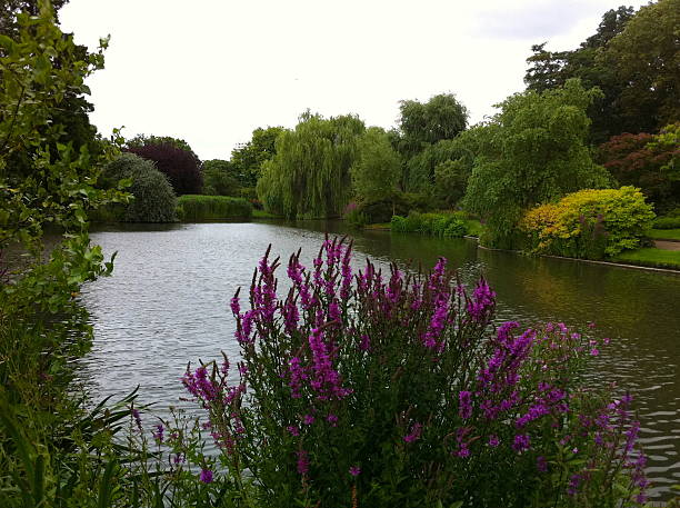 istock English Garden 180229587