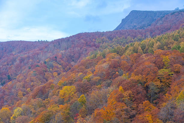 istock Maple leaf via top view of zao ropeway 1802296932
