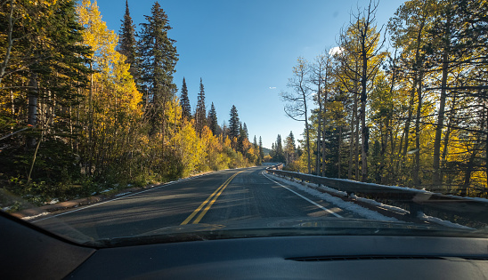 View looking out windshield of a car driving on a mountain road in autumn with golden yellow leaves and pine trees and a clear blue sky.