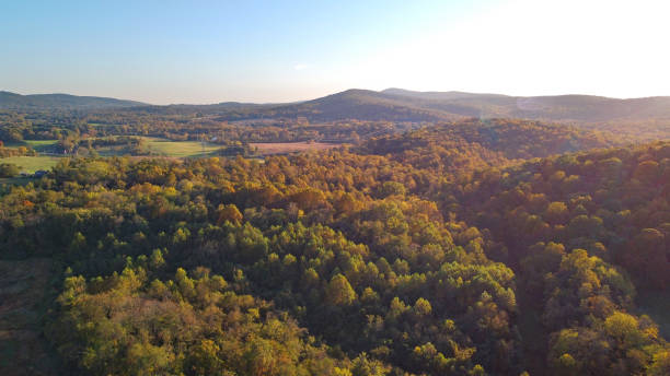 istock Aerial view of fall foliage 1802323425