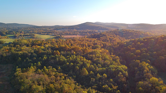 Rolling hills covered in autumn treetops during a vibrant wispy blue sky in the Smokey Mountain national park in Tennessee.