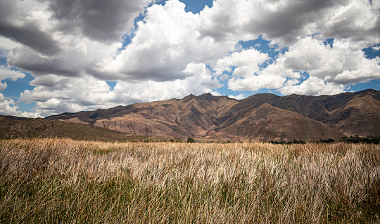 tranquil landscape with grass of different colors in the foreground, mountains and clouds in the background