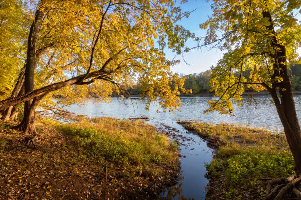 미네소타 주 프리들리의 리버뷰 하이츠 공원에서 만나는 미시시피 강의 단풍 - anoka 뉴스 사진 이미지