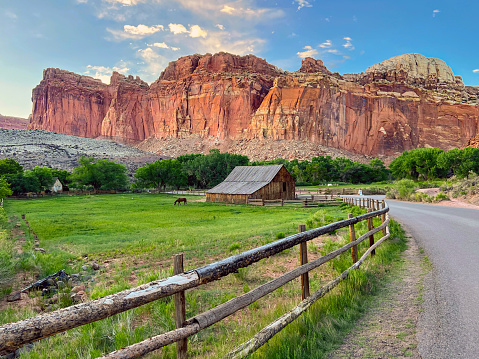 The rustic barn stands out against the red rock cliffs of Capitol Reef National Park, a testament to the pioneer history of the area. A winding road leads the eye to the horizon, where the sun casts a golden glow on the sandstone formations. The park is home to diverse ecosystems, ancient petroglyphs, and scenic trails that invite exploration. This is a place where nature and culture meet, and where visitors can experience the beauty and wonder of Utah’s desert landscape.