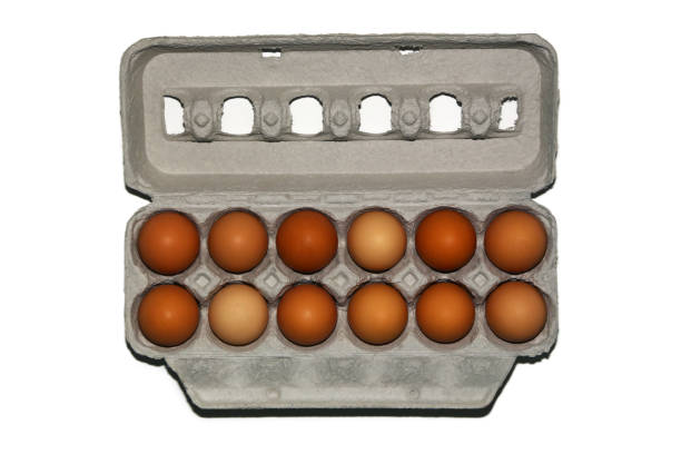 Eggs - fotografia de stock