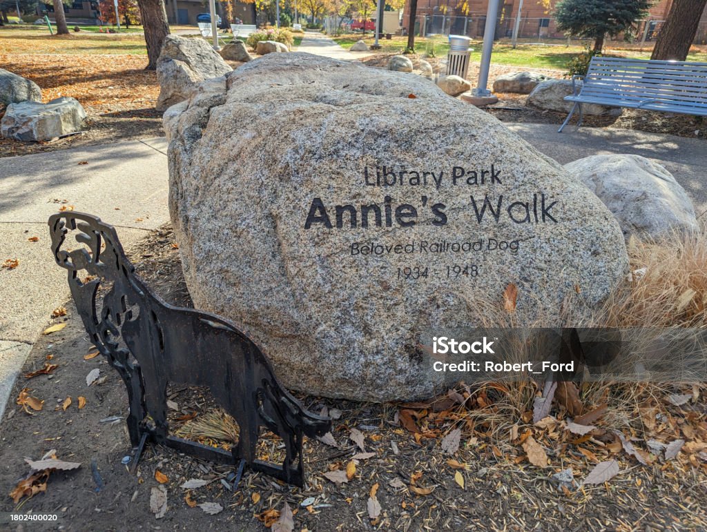 Public Library and Park in Fort Collins Colorado October 2023 Autumn Stock Photo