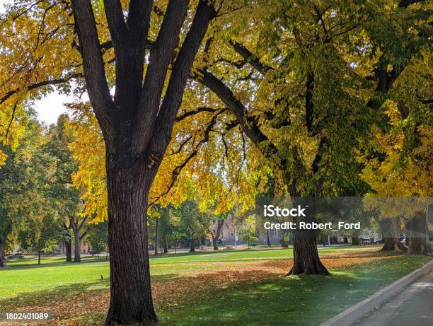 Autumn Colors On The Colorado State University Quadrangle And Gardens In Fort Collins Colorado October 2023 Stock Photo - Download Image Now