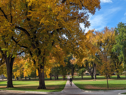 Autumn Colors on the Colorado State University Quadrangle and Gardens in Fort Collins Colorado October 2023
