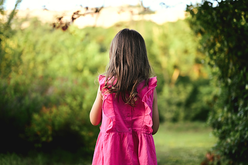 rear view of a little girl in a pink dress.