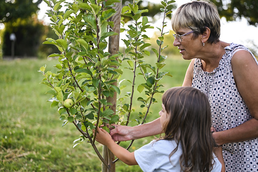 Multi-generation family exploring nature.