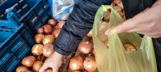 istock Putting onions in a bag 1802442355