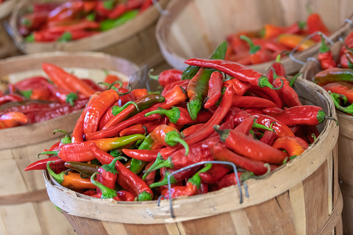 Bushel baskets full of ripe, freshly picked red chili peppers on display at a farmers market.