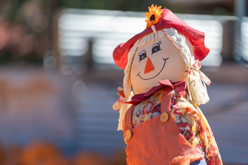 Close up of a friendly looking scarecrow at a pumpkin patch in autumn with bokeh background.