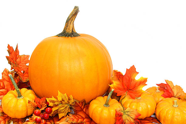 istock Autumn pumpkins and leaves border 180245461