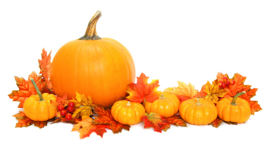 Autumn arrangement of pumpkins with red leaves over white