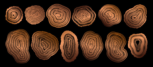 Set of wooden annual rings textures. Luxury golden tree ring patterns. Collection of tree trunk stamps in section isolated on black background. Natural wooden concentric circles