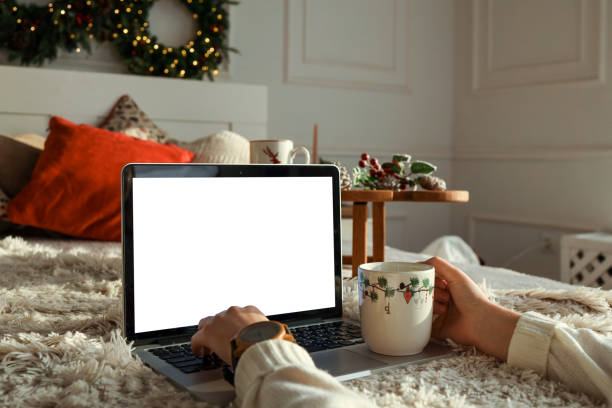 istock Young woman work on laptop computer with blank display screen with mockup copy space. Modern home living room interior design. Christmas, New Year decorated workspace 1802466119