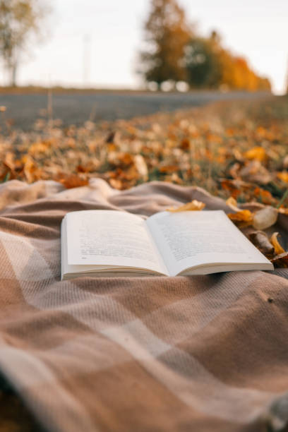 istock Open book on a blanket in the autumn forest 1802468883