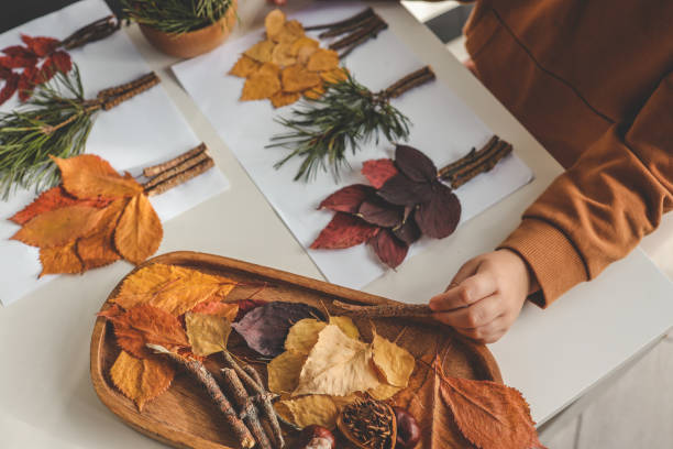 istock Children's creativity, child's study of natural materials 1802469975