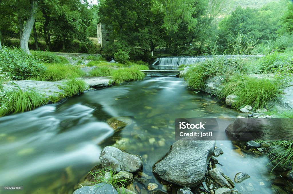 cascadas - Photo de Arbre libre de droits