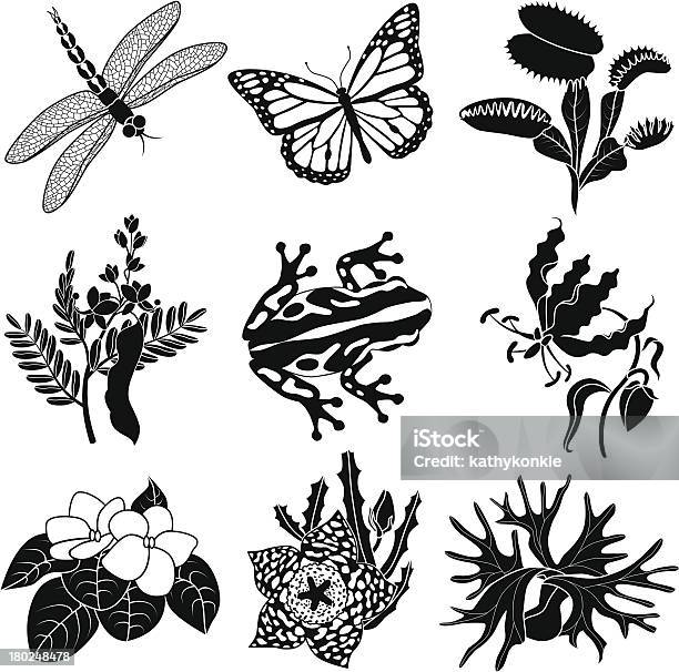 Ilustración de Plantas Tropicales Y Animales y más Vectores Libres de Derechos de Naturaleza - Naturaleza, Rana, Blanco y negro