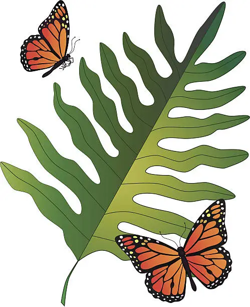 Vector illustration of Hawaiian fern and monarch butterflies