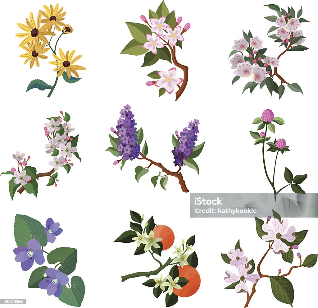 北米の花 - 花のロイヤリティフリーベクトルアート