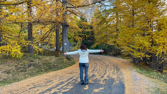 Woman with arms outstretched enjoying hiking in a larch tree forest in autumn, Bardonecchia, Piedmont, Italy