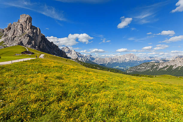 istock Mountain landscape with flowers. 180250874
