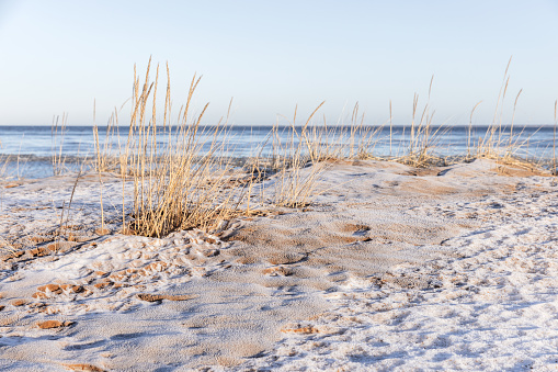 Frozen beach landscape, Gulf of Finland. Coast of Baltic Sea, natural winter background photo