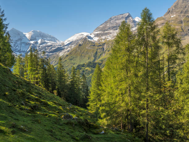 istock High Tauern mountain range in Austria 1802513284