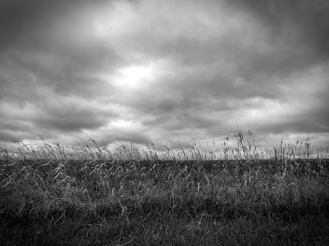 Black and white, moody clouds with grass