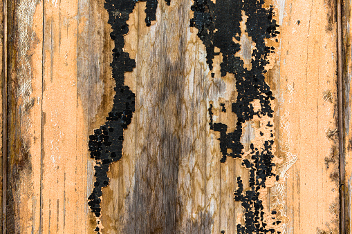 Weathered and scratched rustic wooden board.High angle view of a flat textured wooden board backgrounds. It has a beautiful nature and abstractive pattern. A close-up studio shooting shows details and lots of wood grain on the wood table. The piece of wood at the surface of the table also appears rich wooden material on it. The wood is dark brown color with darker brown lines and pattern on the bottom. Flat lay style. Its high-resolution textured quality.The close-up gives a direct view on the table, showing cracks and knotholes in the wood.