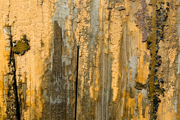 istock Weathered and painted wooden texture background. 1802521267