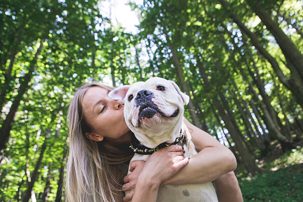 fille avec un chien - american bulldog photos et images de collection