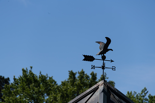 Bronze bird weathervane on to of cupola. Verdigris patina